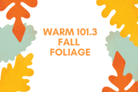 Warm 101.3 Fall Foliage